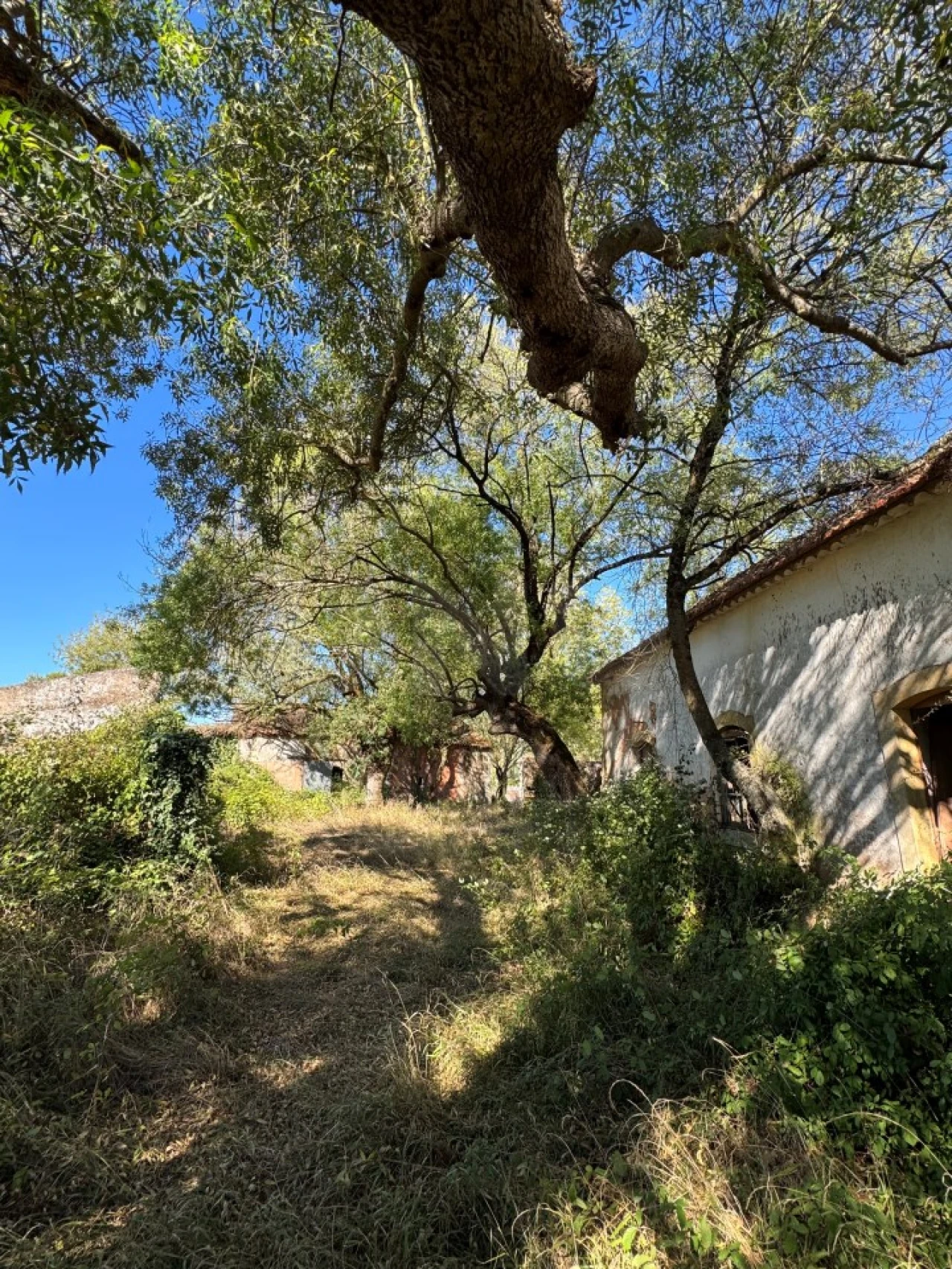 Moradia T4 para Venda em Nossa Senhora do Pópulo, Coto e São Gregório Foto 9