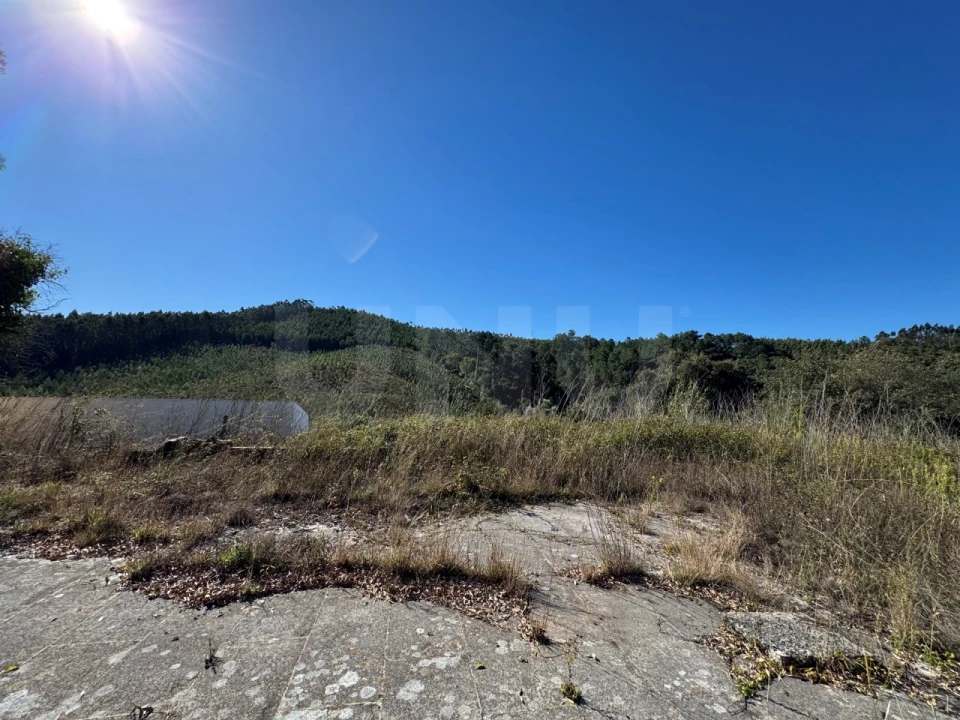 Moradia T4 para Venda em Nossa Senhora do Pópulo, Coto e São Gregório Foto 11