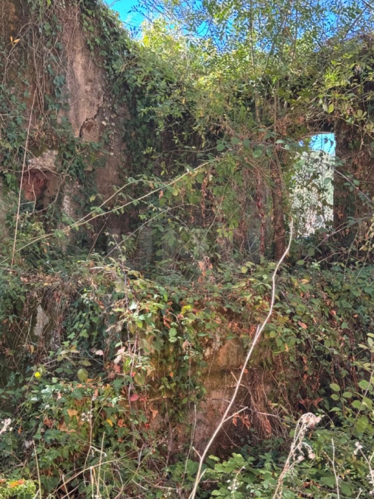 Moradia T4 para Venda em Nossa Senhora do Pópulo, Coto e São Gregório Foto 14