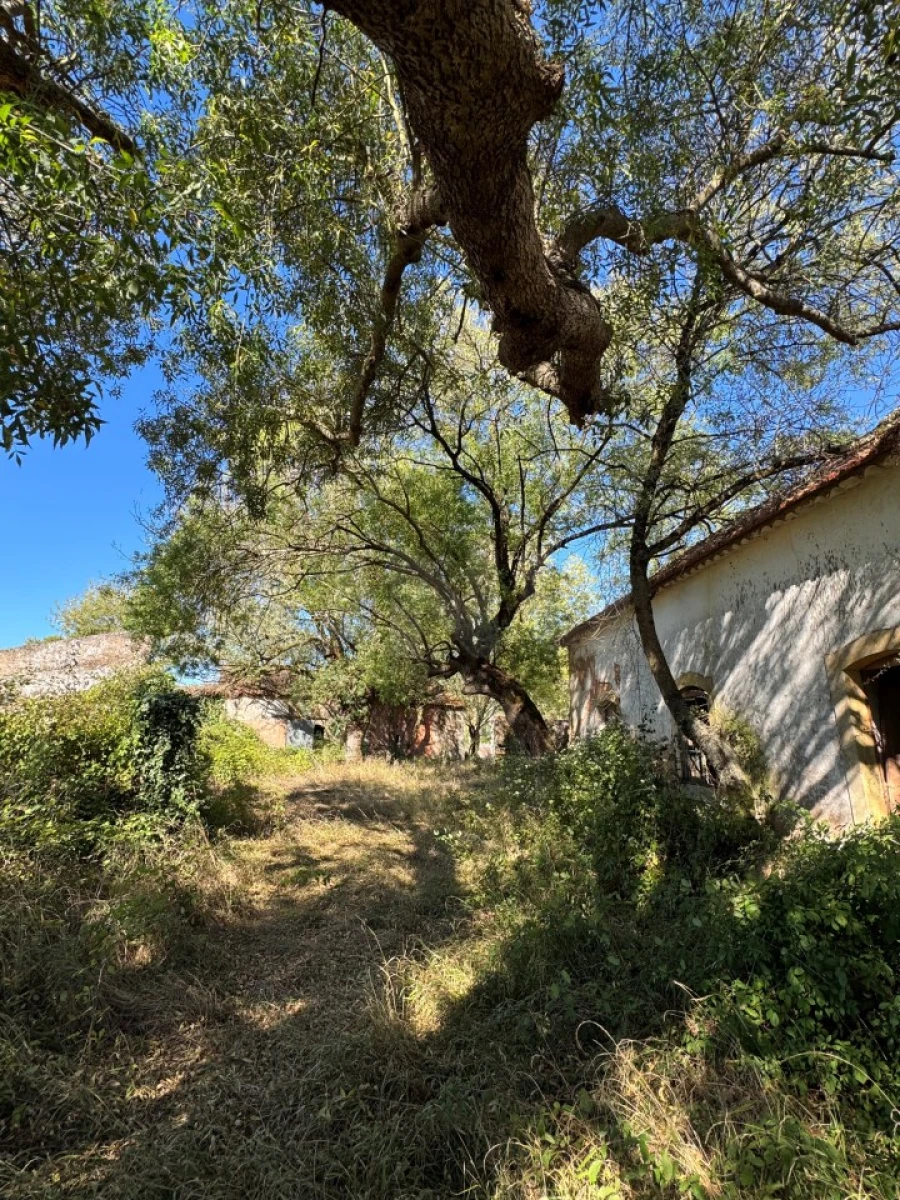 Moradia T4 para Venda em Nossa Senhora do Pópulo, Coto e São Gregório Foto 9