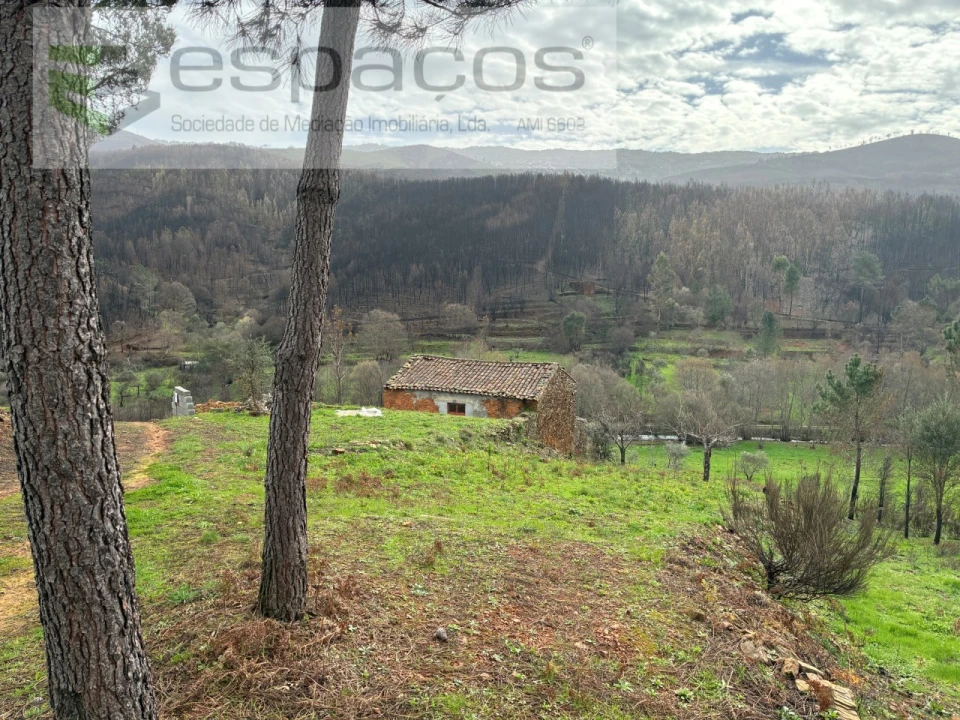 Quinta para Venda em Souto da Casa Foto 8