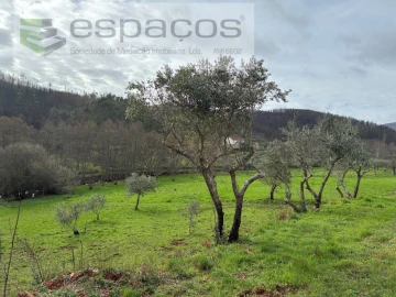 Quinta para Venda em Souto da Casa