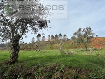 Quinta para Venda em Souto da Casa