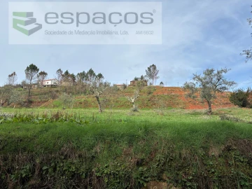 Quinta para Venda em Souto da Casa