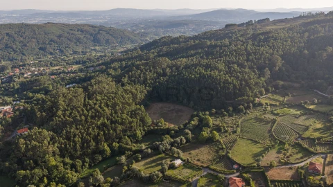 Terreno para Venda em Dossãos