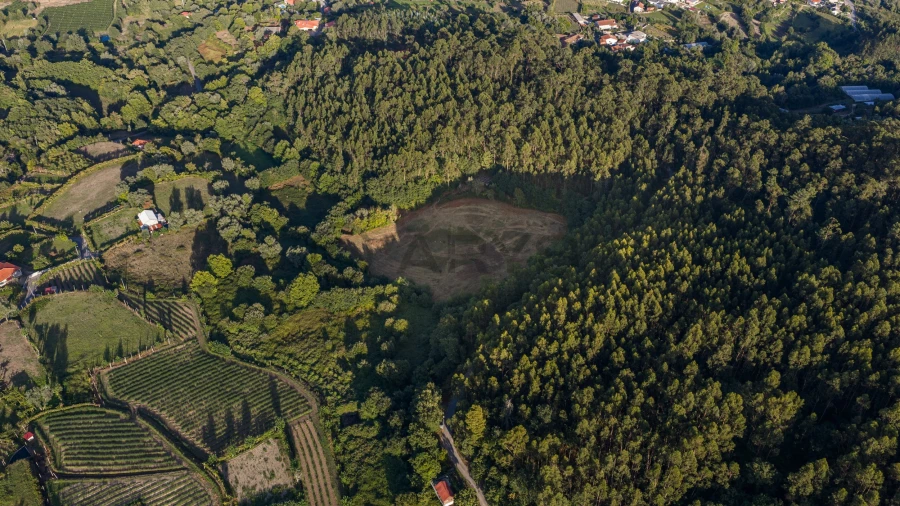 Terreno para Venda em Dossãos Foto 15