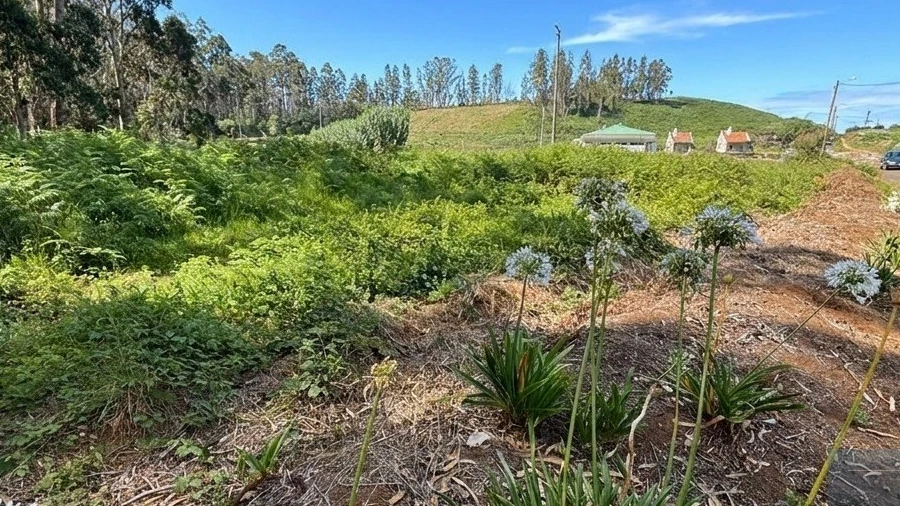 Terreno Agricola ou Rústico para Venda em Porto Moniz