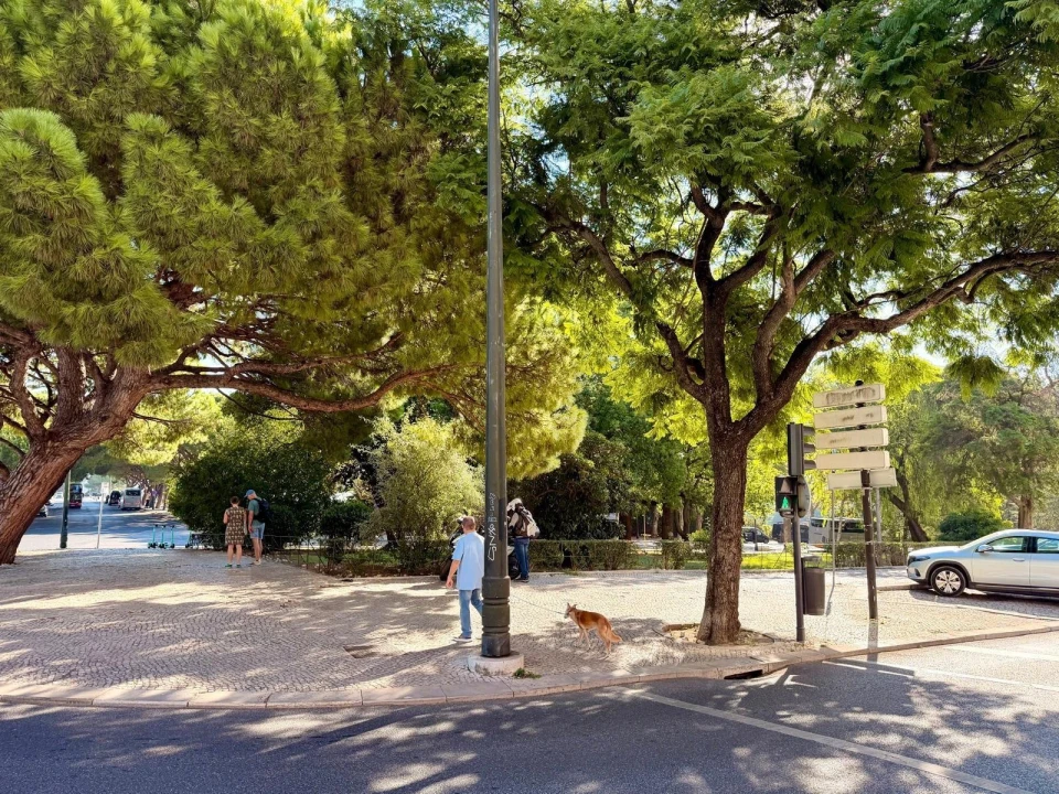 Apartamento T3 para Arrendamento em Avenidas Novas Foto 45