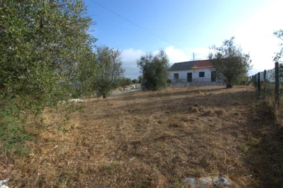 Terreno para Venda em Carregueira