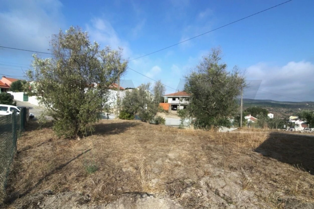 Terreno para Venda em Carregueira Foto 3