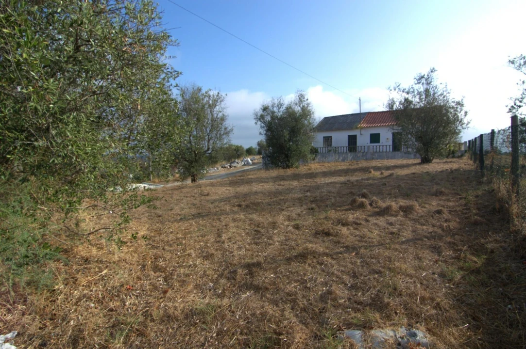 Terreno para Venda em Carregueira Foto 2