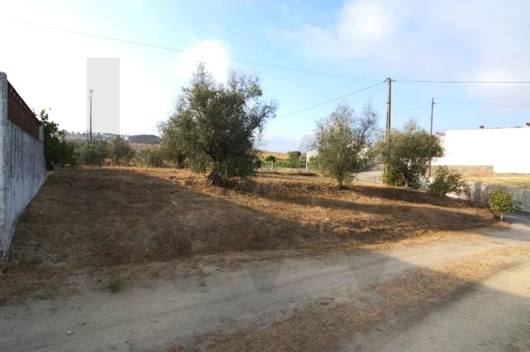 Terreno para Venda em Carregueira Foto 4