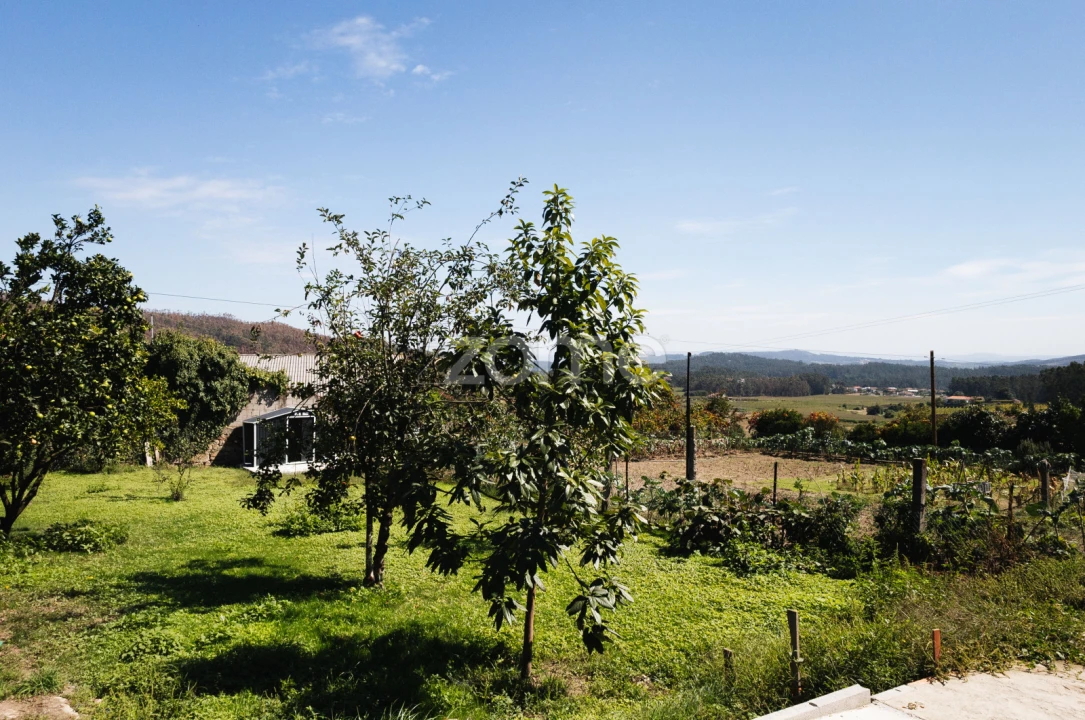 Moradia T5 para Venda em Negreiros e Chavão Foto 26