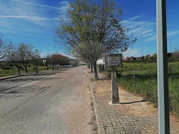 Terreno para Venda em Alvito