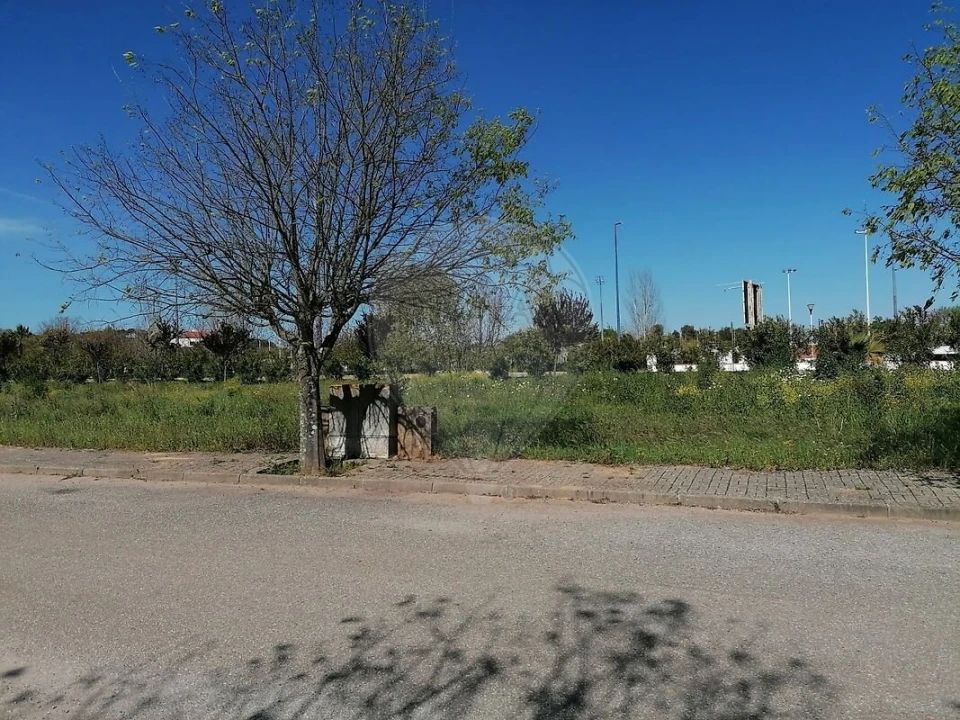 Terreno para Venda em Alvito Foto 3