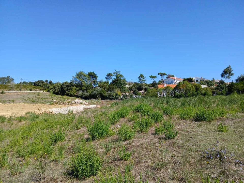 Terreno para Venda em Ericeira Foto 14