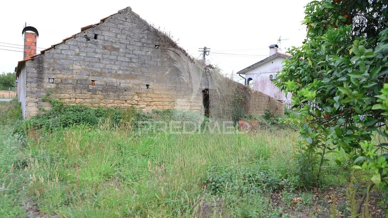 Moradia T2 para Venda em Bustos, Troviscal e Mamarrosa Foto 13