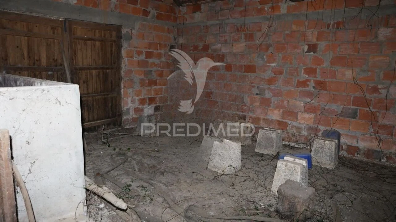 Moradia T2 para Venda em Bustos, Troviscal e Mamarrosa Foto 6