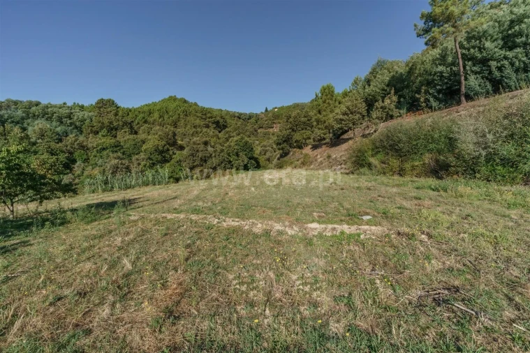 Quinta T3 para Venda em Teixoso e Sarzedo Foto 2