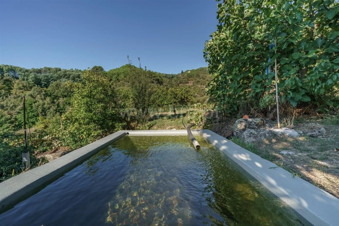 Quinta T3 para Venda em Teixoso e Sarzedo Foto 12