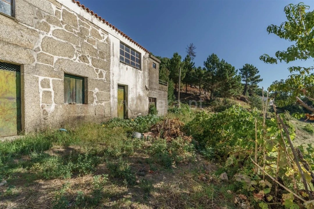 Quinta T3 para Venda em Teixoso e Sarzedo Foto 14
