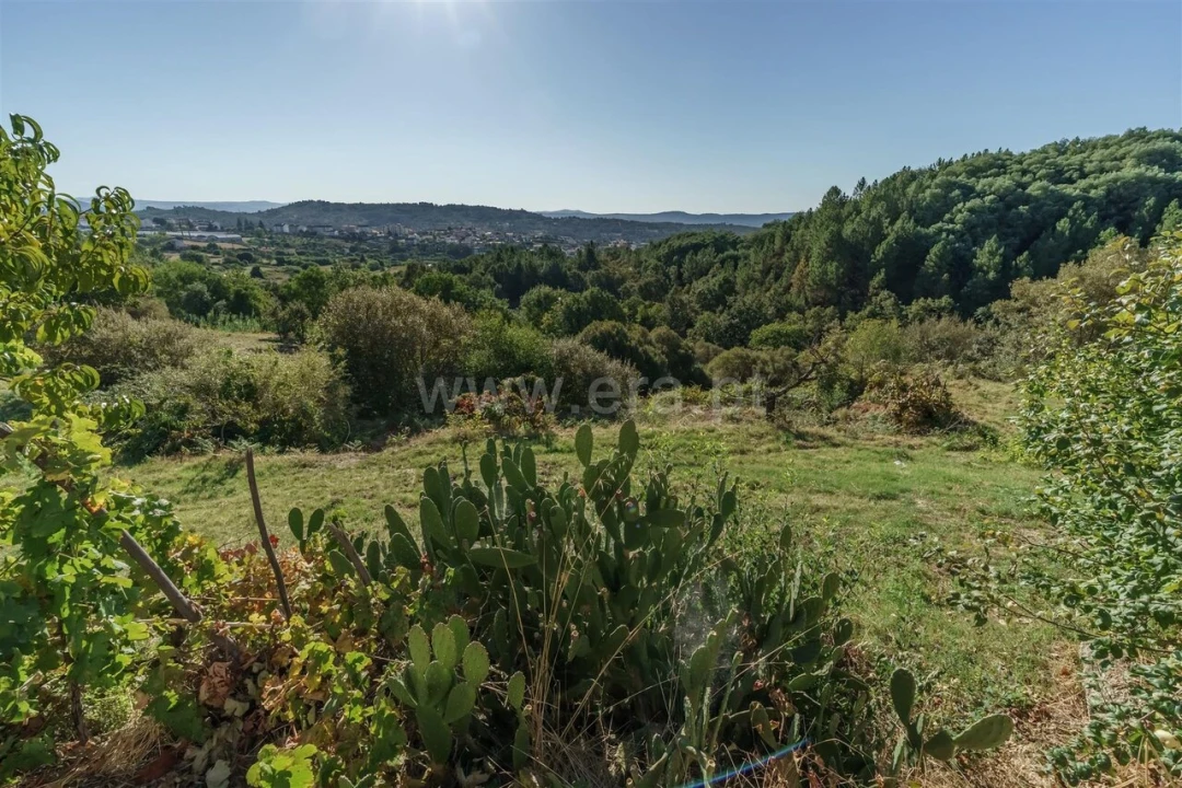 Quinta T3 para Venda em Teixoso e Sarzedo Foto 13