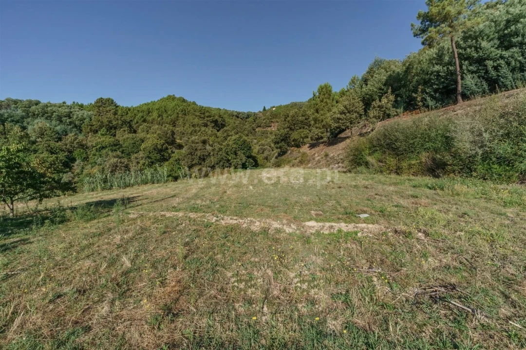 Quinta T3 para Venda em Teixoso e Sarzedo Foto 2
