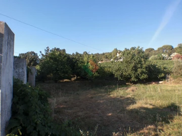 Quinta T5 para Venda em Reguengo e São Julião