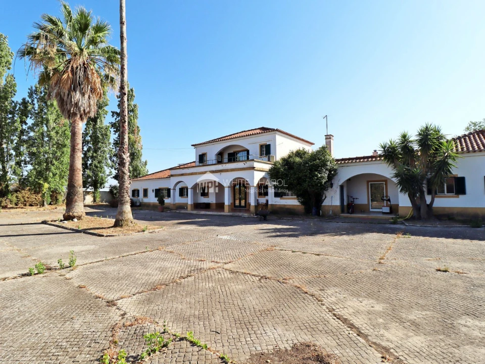 Quinta T5 para Venda em Benavente Foto 1