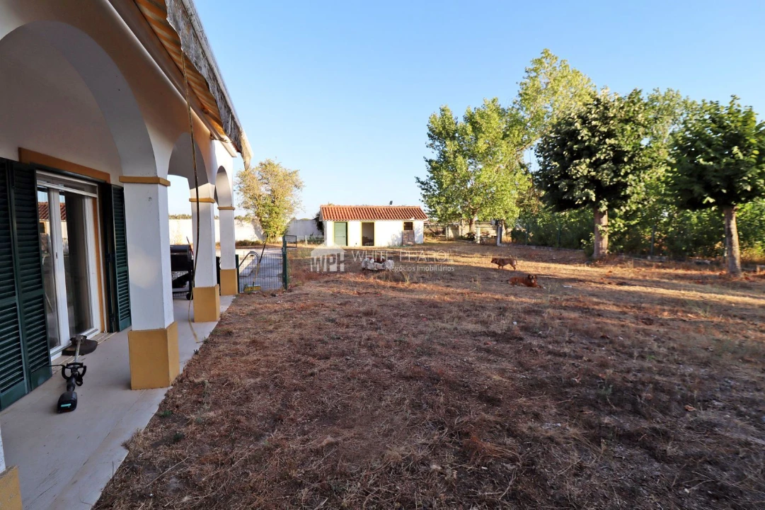 Quinta T5 para Venda em Benavente Foto 28