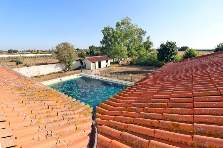 Quinta T5 para Venda em Benavente Foto 19