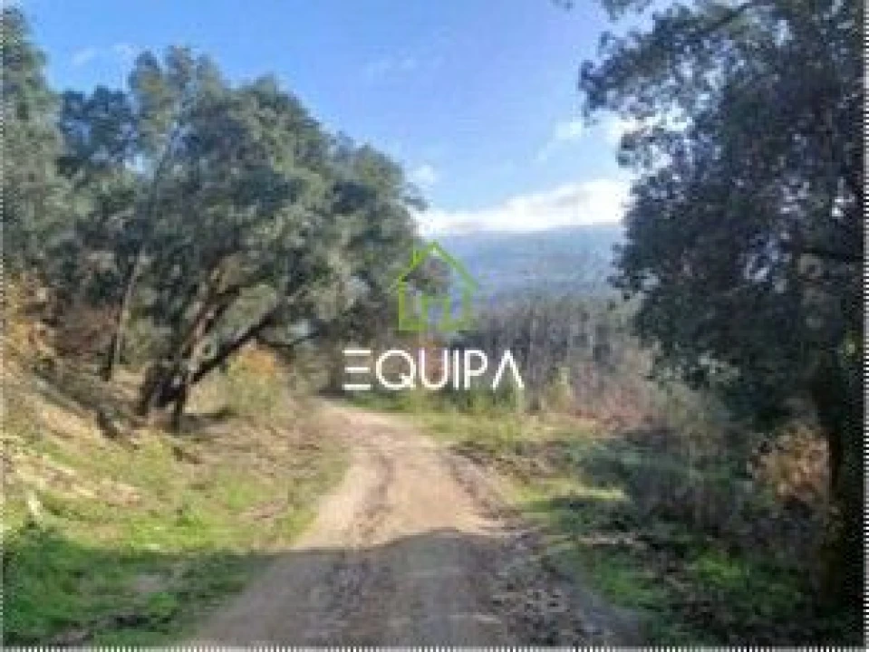 Quinta para Venda em Penhalonga e Paços de Gaiolo Foto 4