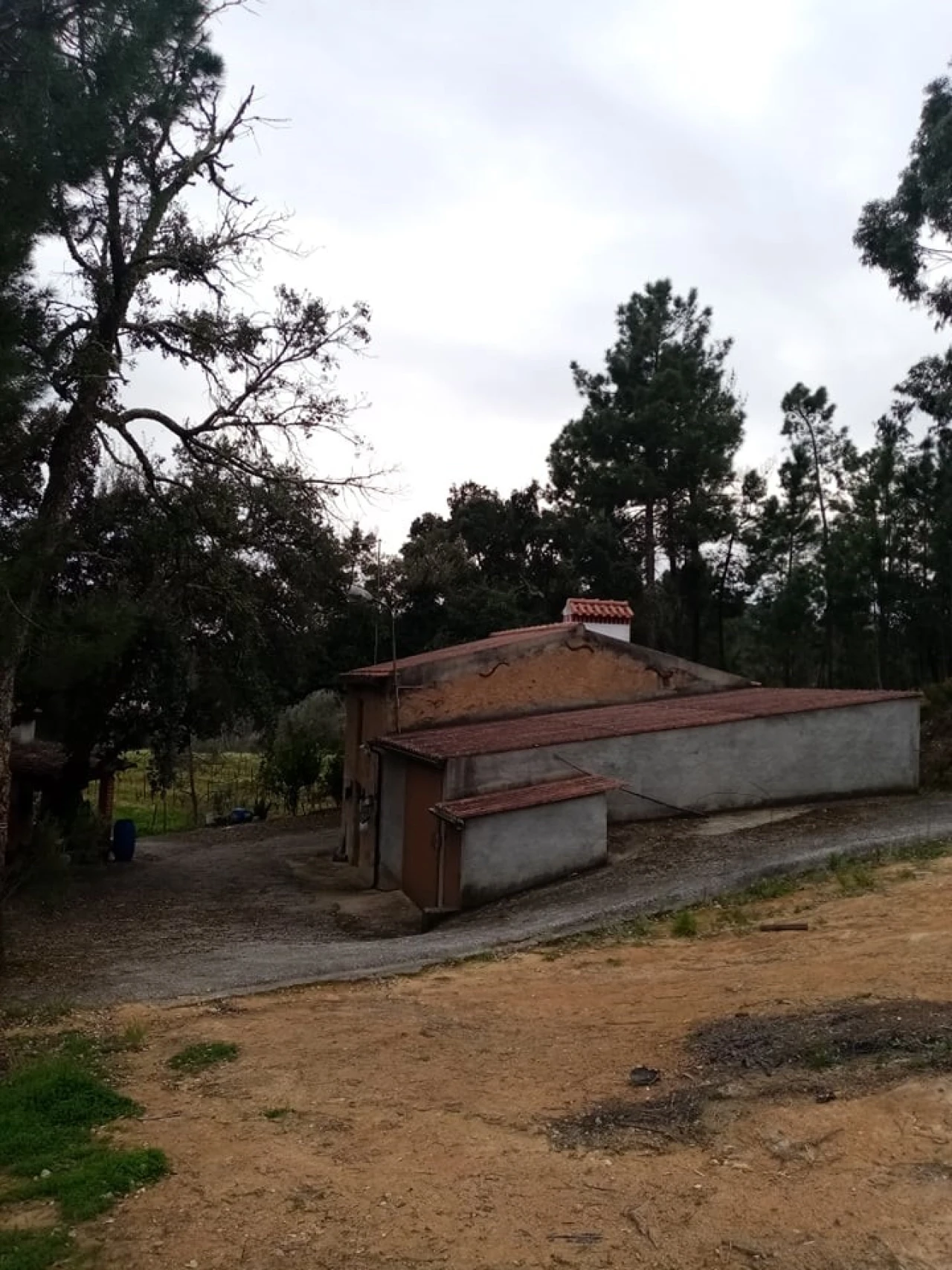Quinta para Venda em Mação, Penhascoso e Aboboreira Foto 3