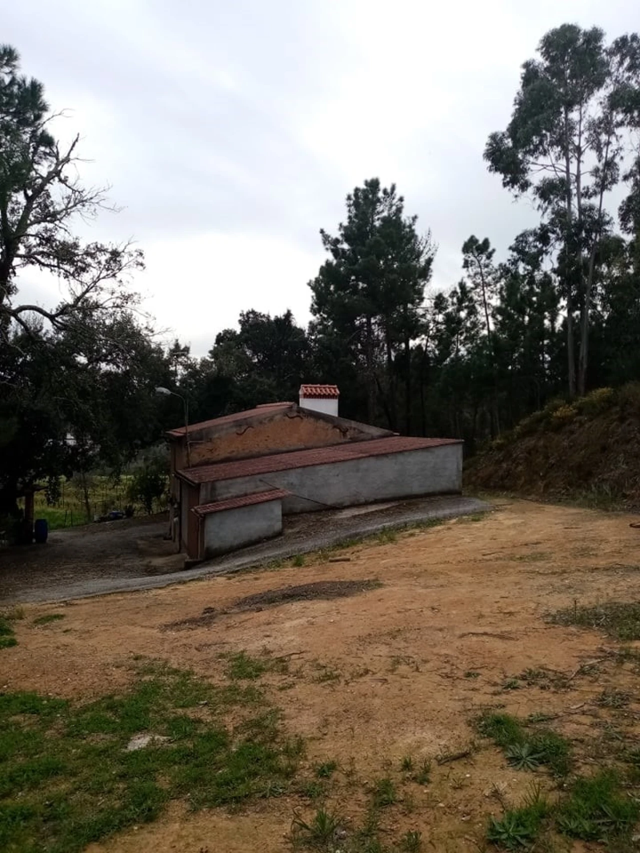 Quinta para Venda em Mação, Penhascoso e Aboboreira Foto 4