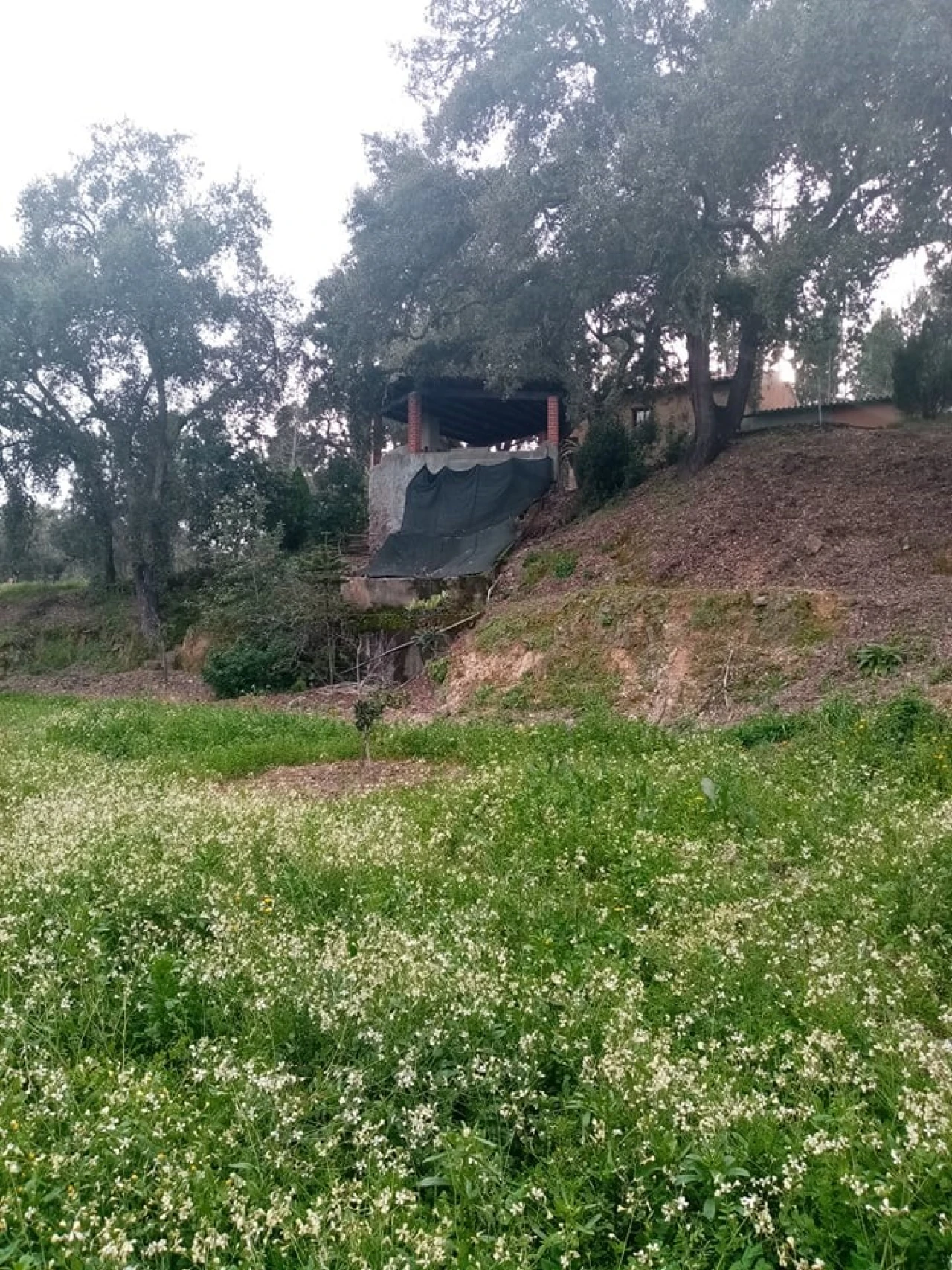 Quinta para Venda em Mação, Penhascoso e Aboboreira Foto 5