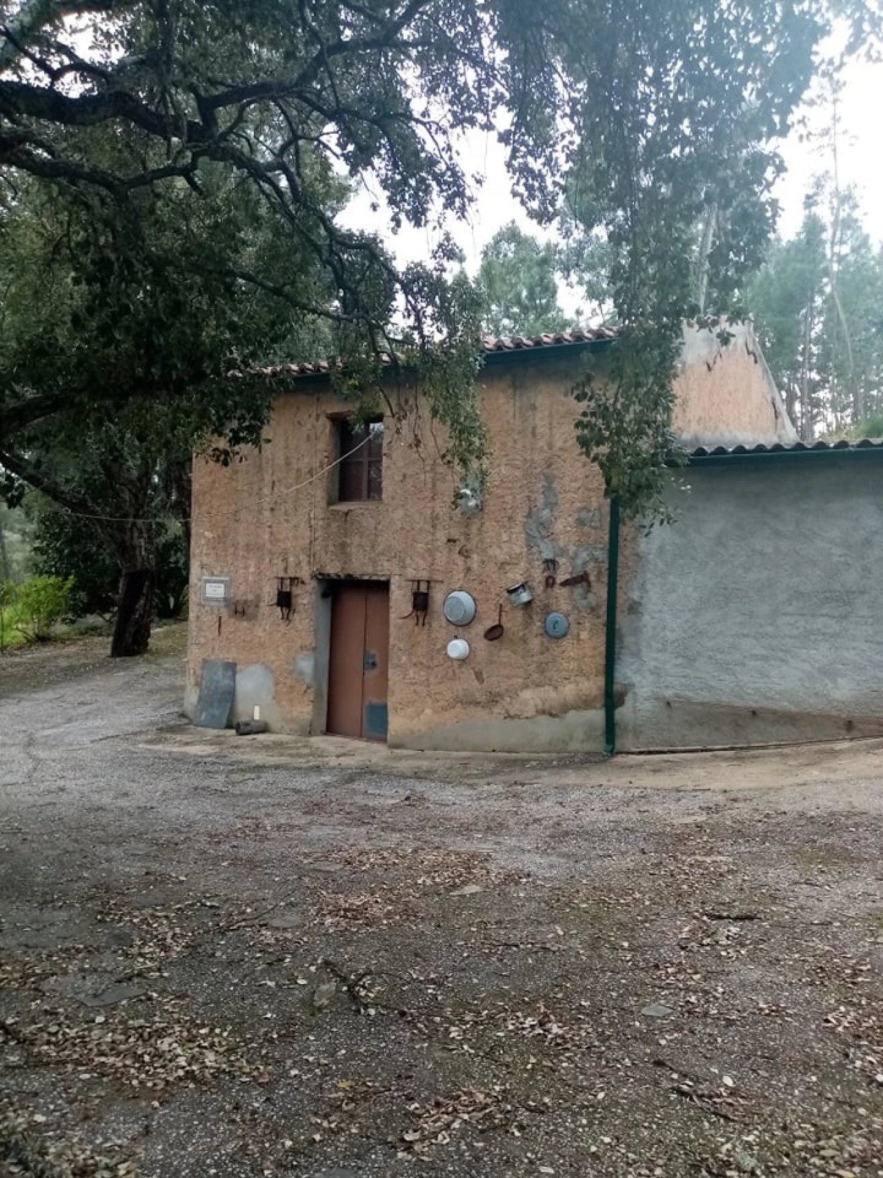 Quinta para Venda em Mação, Penhascoso e Aboboreira Foto 9