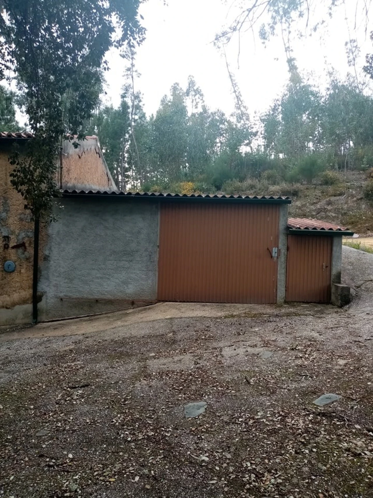 Quinta para Venda em Mação, Penhascoso e Aboboreira Foto 10
