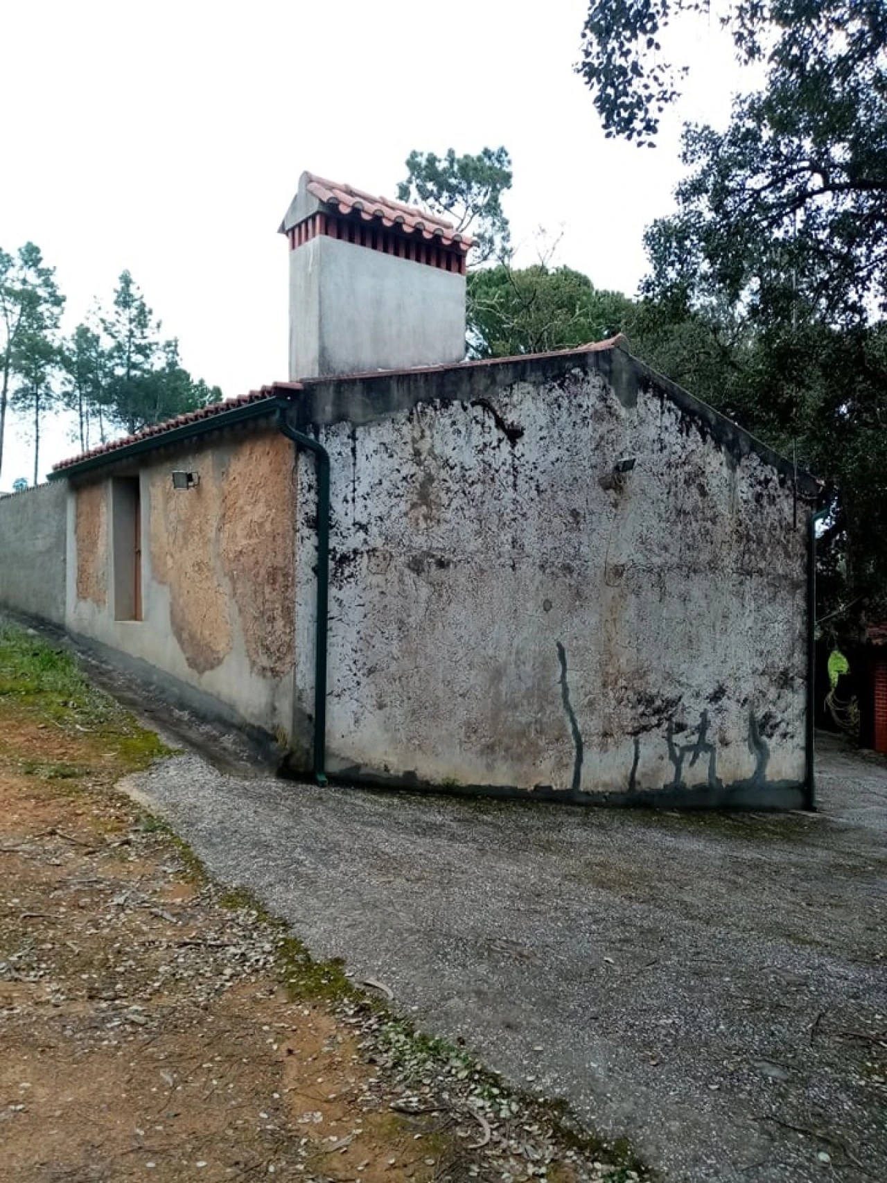Quinta para Venda em Mação, Penhascoso e Aboboreira Foto 13