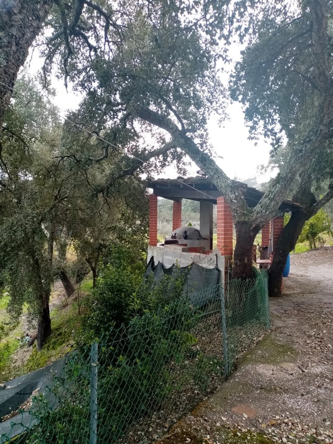 Quinta para Venda em Mação, Penhascoso e Aboboreira Foto 16