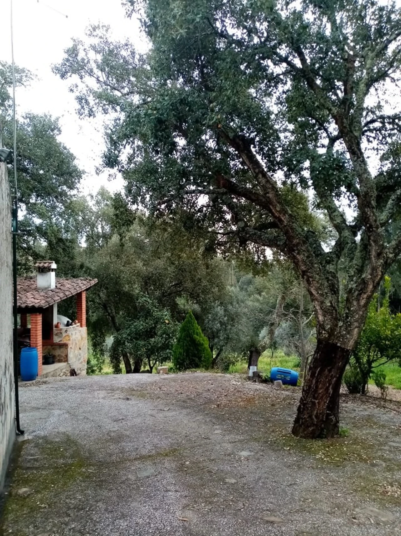 Quinta para Venda em Mação, Penhascoso e Aboboreira Foto 18