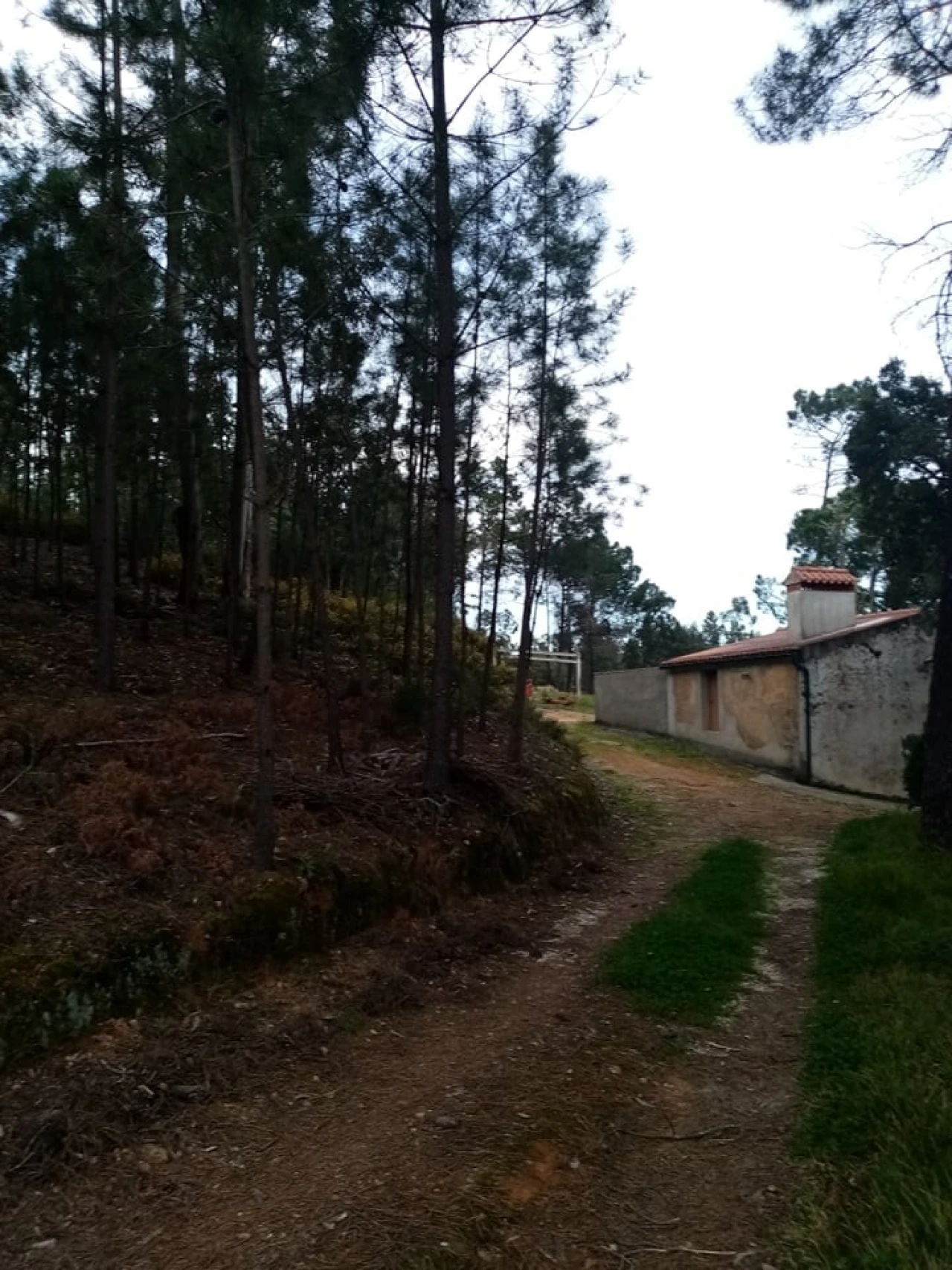 Quinta para Venda em Mação, Penhascoso e Aboboreira Foto 19