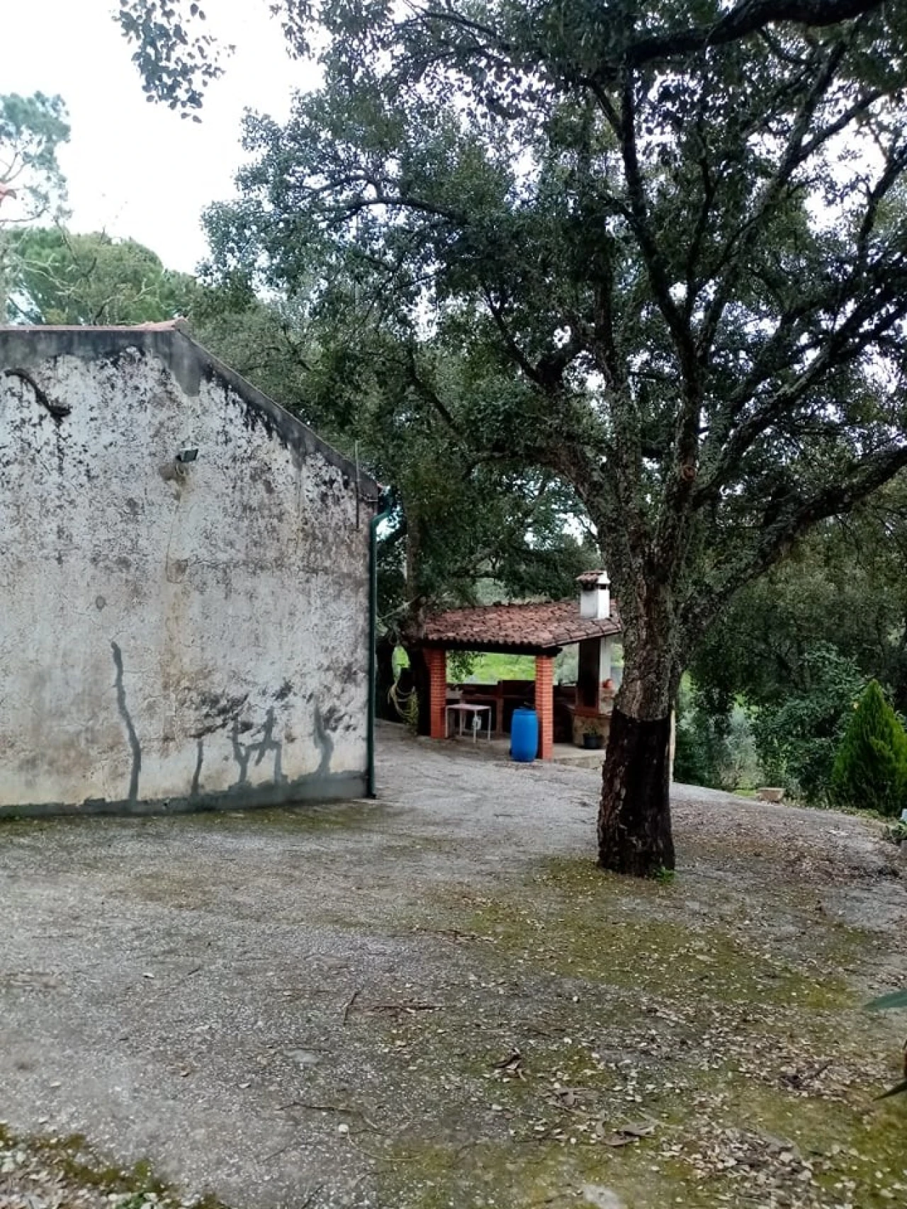 Quinta para Venda em Mação, Penhascoso e Aboboreira Foto 23