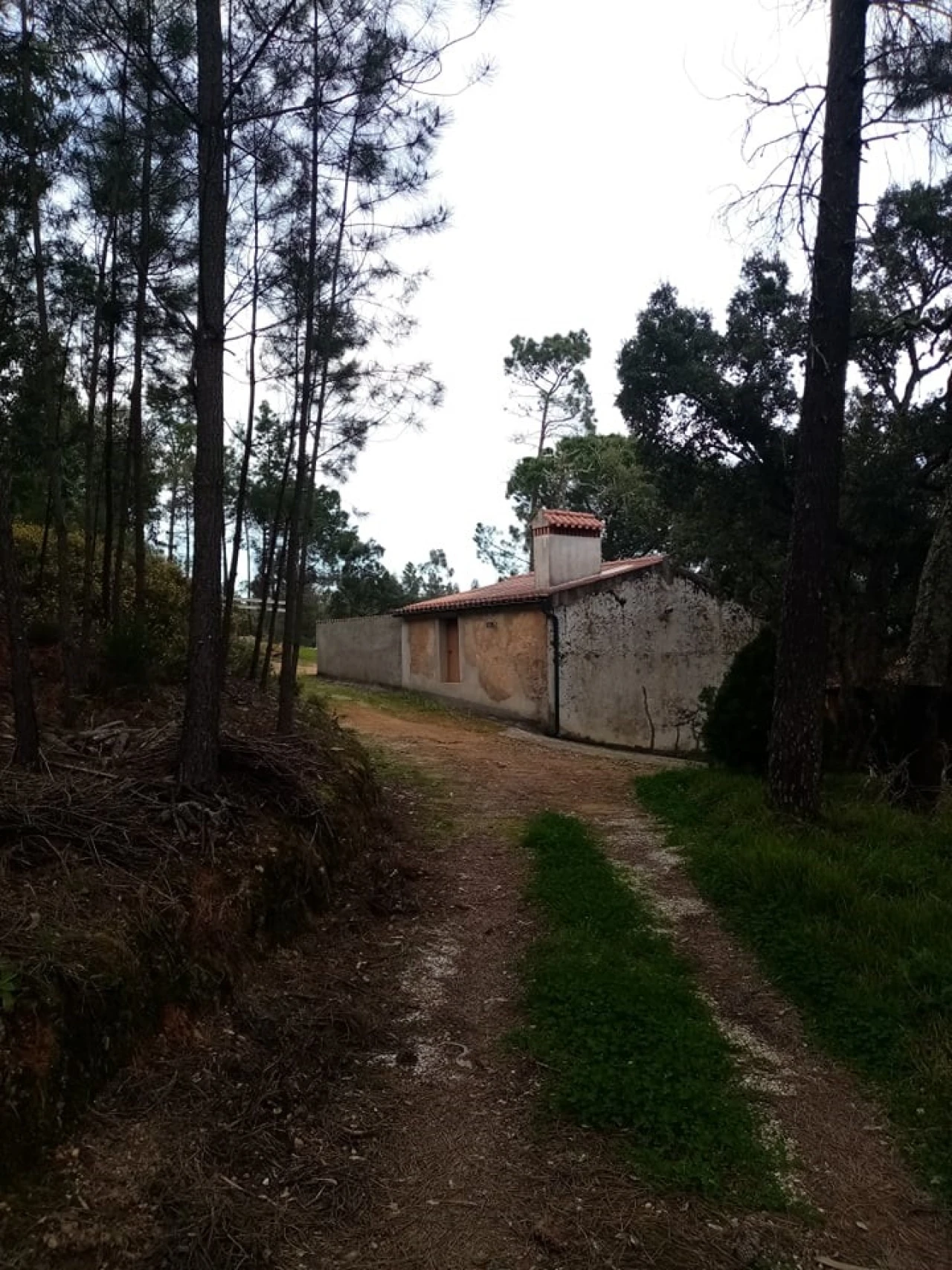 Quinta para Venda em Mação, Penhascoso e Aboboreira Foto 25