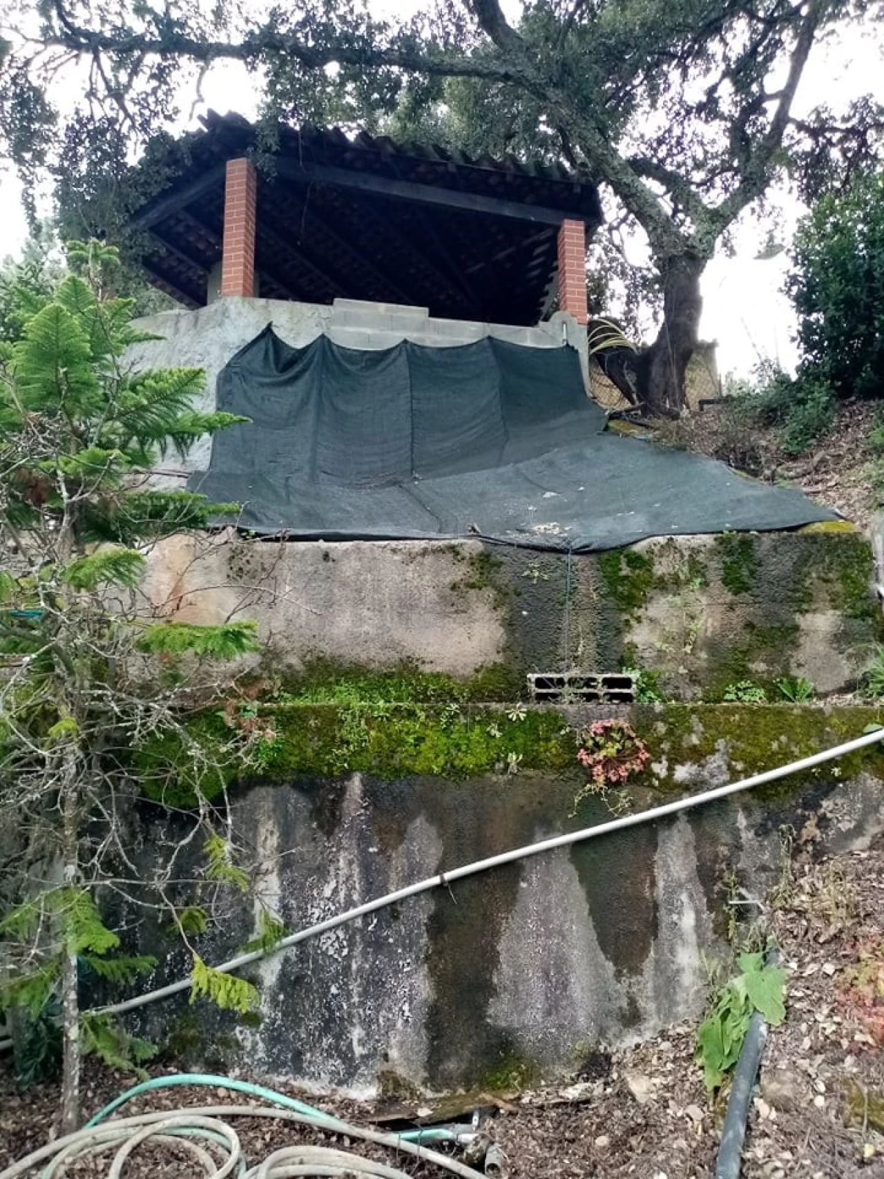 Quinta para Venda em Mação, Penhascoso e Aboboreira Foto 26