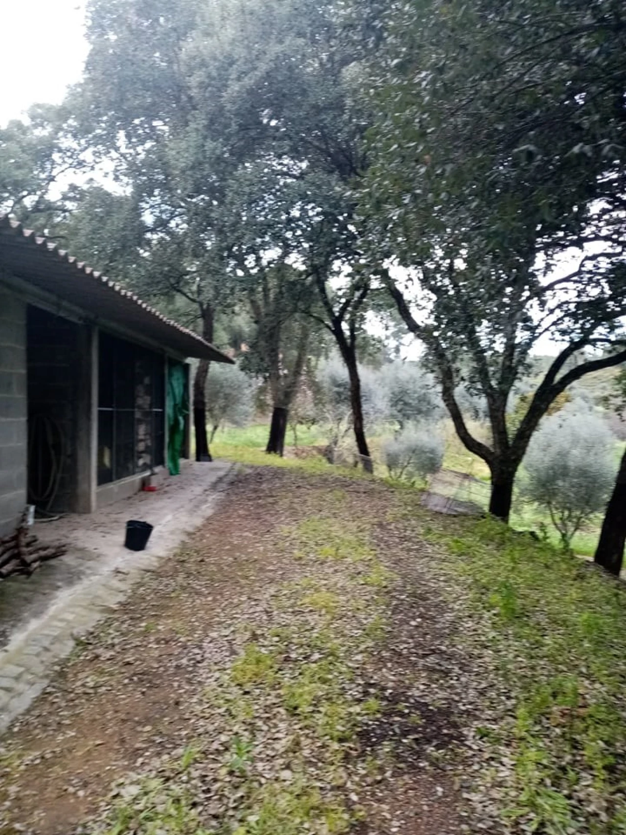 Quinta para Venda em Mação, Penhascoso e Aboboreira Foto 33
