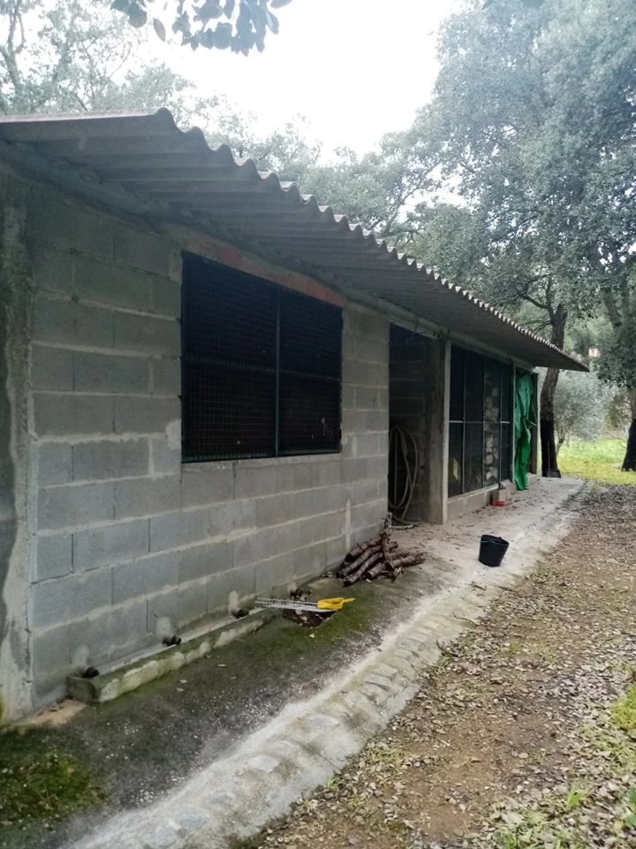 Quinta para Venda em Mação, Penhascoso e Aboboreira Foto 35