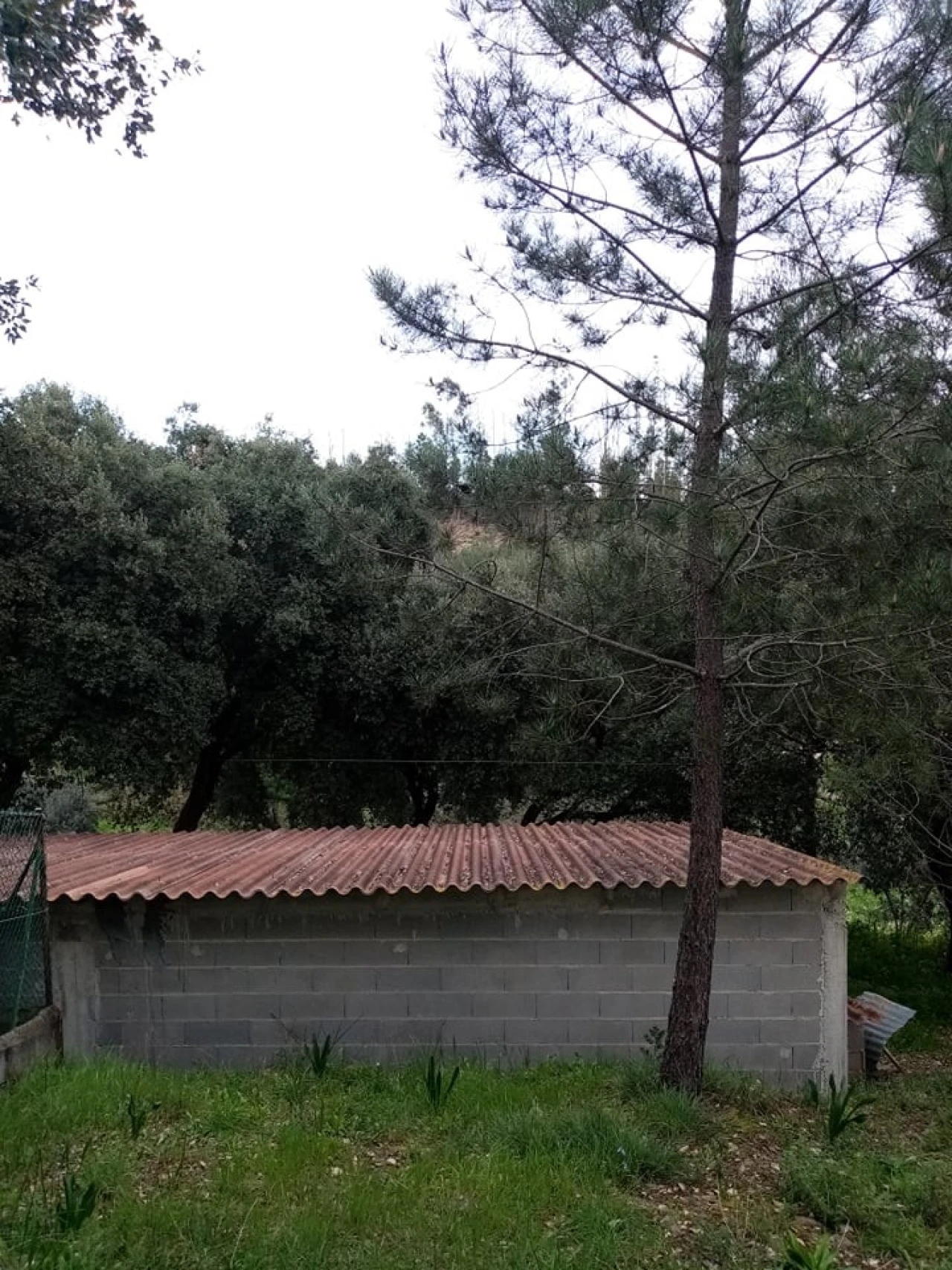 Quinta para Venda em Mação, Penhascoso e Aboboreira Foto 37