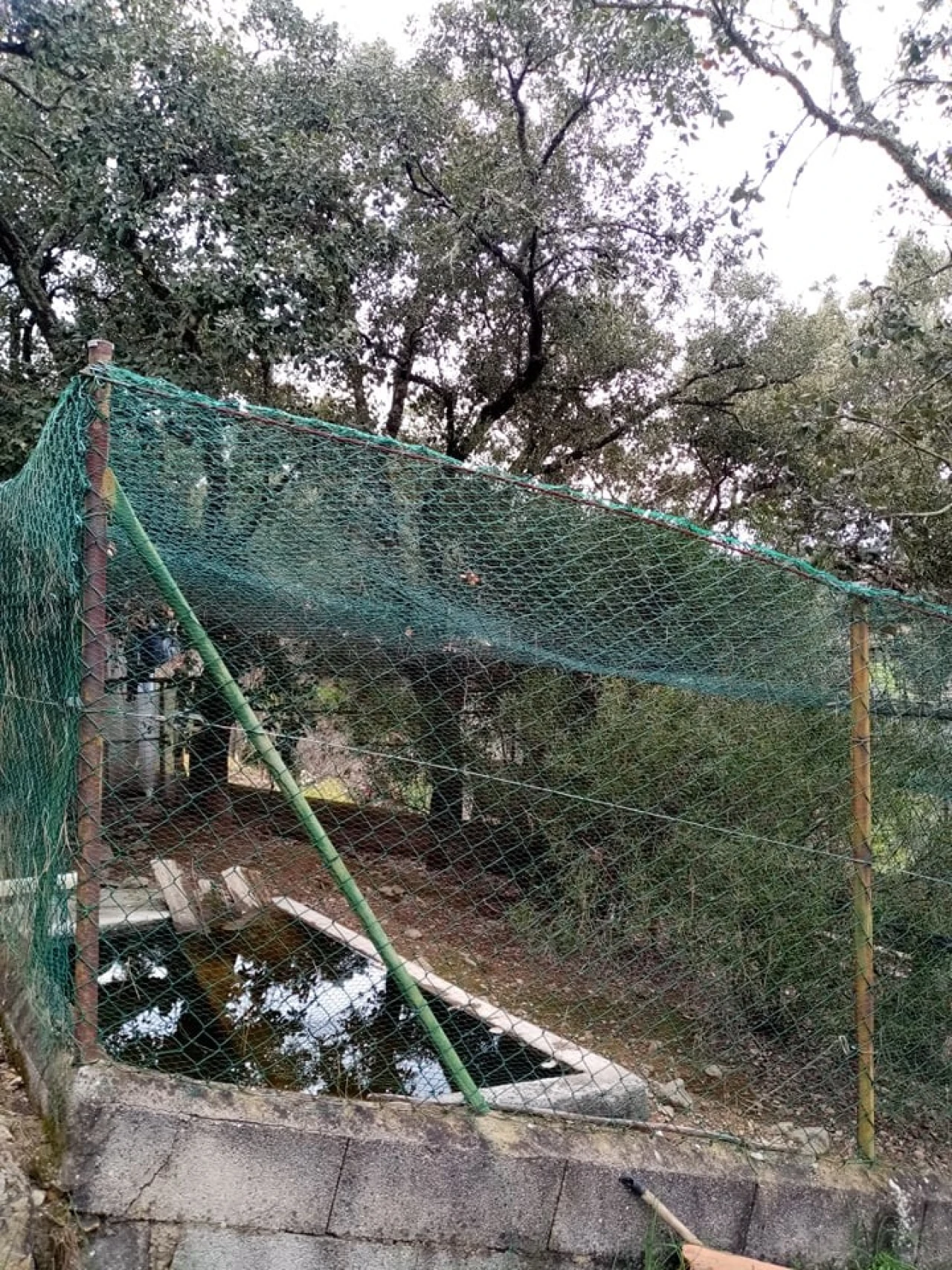Quinta para Venda em Mação, Penhascoso e Aboboreira Foto 38