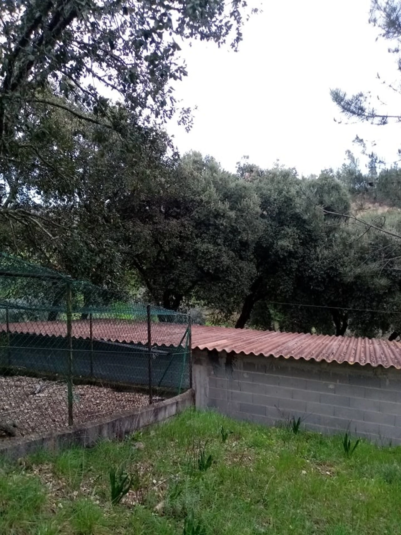 Quinta para Venda em Mação, Penhascoso e Aboboreira Foto 39