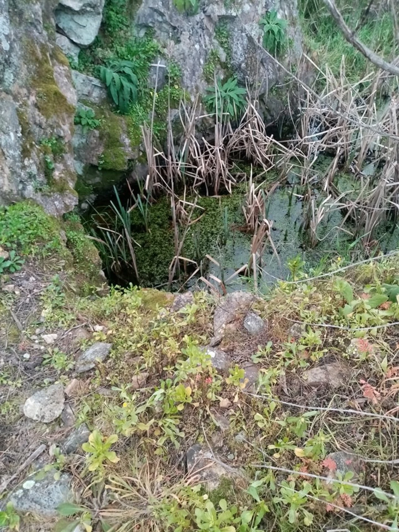 Quinta para Venda em Mação, Penhascoso e Aboboreira Foto 40
